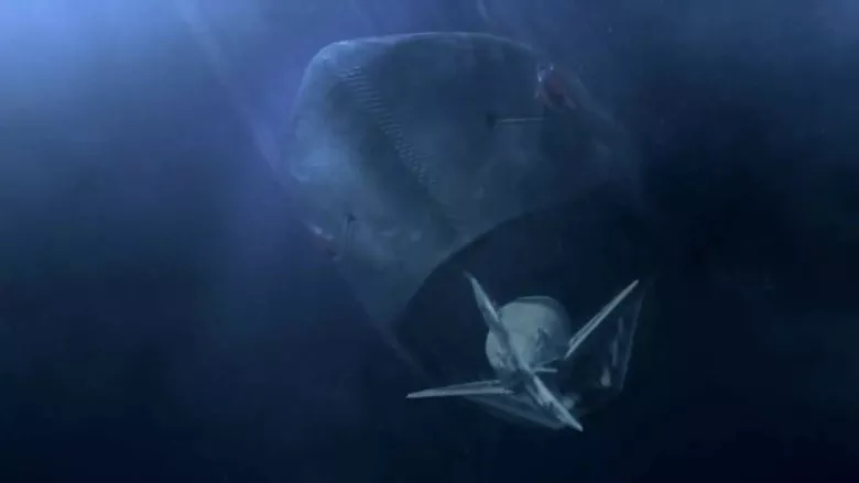 Ver Películas Mega Shark Vs. Mecha Shark (2014) Online